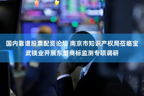 国内靠谱股票配资论坛 南京市知识产权局莅临宝武镁业开展东盟商标监测专项调研